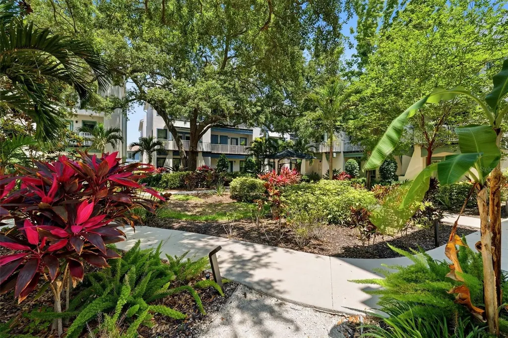 946 Highland Avenue Dunedin FL 34698