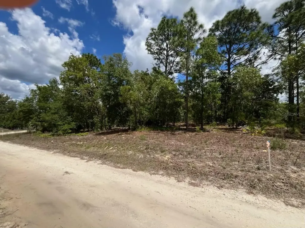 3726 W Spoon Wood Court Dunnellon FL 34433