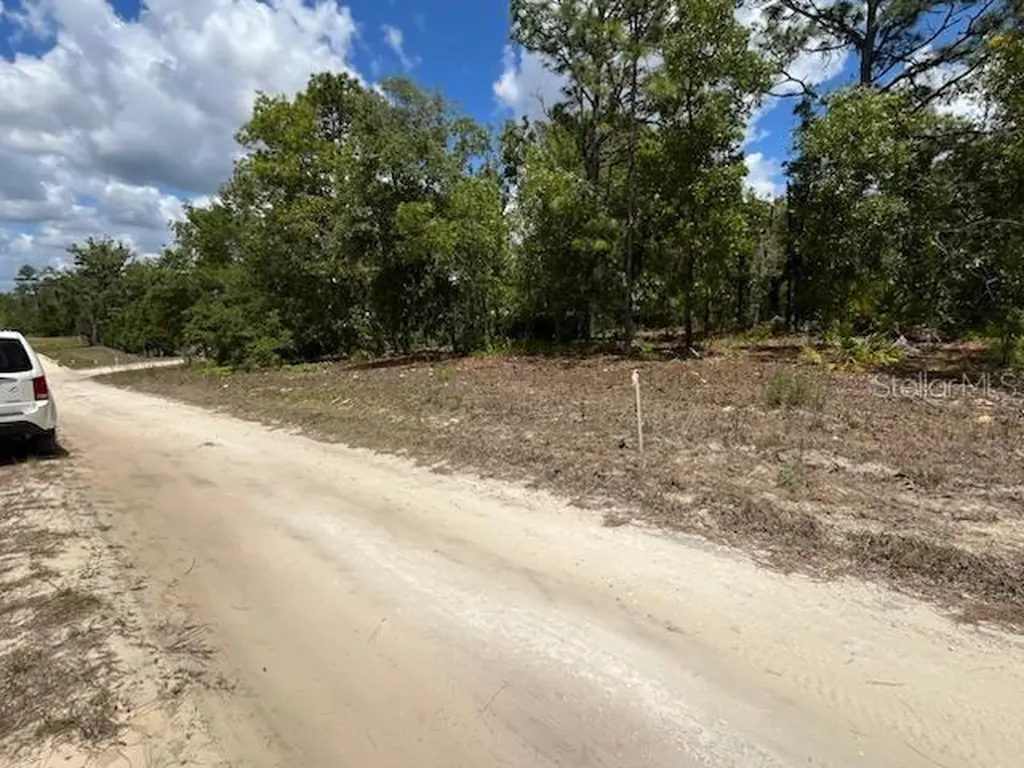 3726 W Spoon Wood Court Dunnellon FL 34433