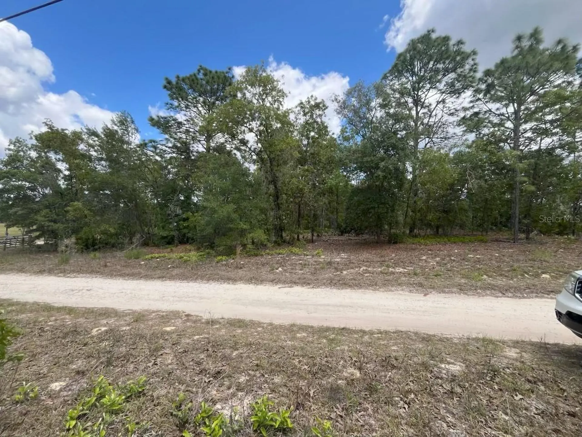 3726 W Spoon Wood Court Dunnellon FL 34433