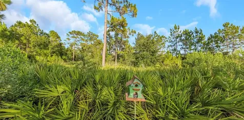 4042 Woodland Retreat Boulevard New Port Richey FL 34655