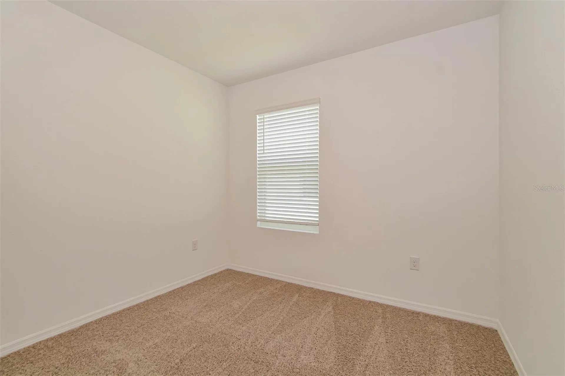 3437 Nettle Loop Tavares FL 32778