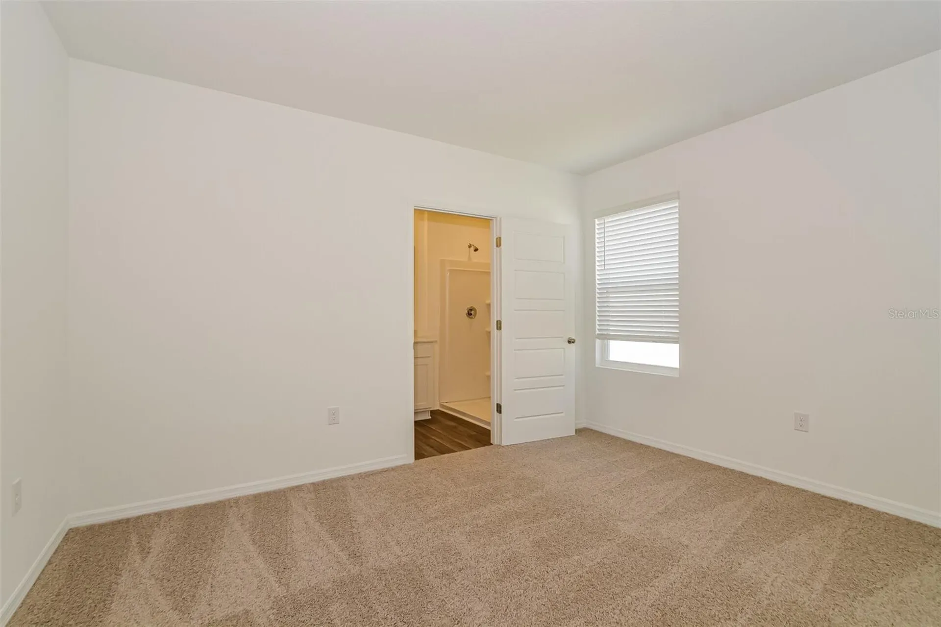 3437 Nettle Loop Tavares FL 32778