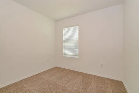 3437 Nettle Loop Tavares FL 32778