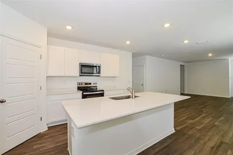 3437 Nettle Loop Tavares FL 32778
