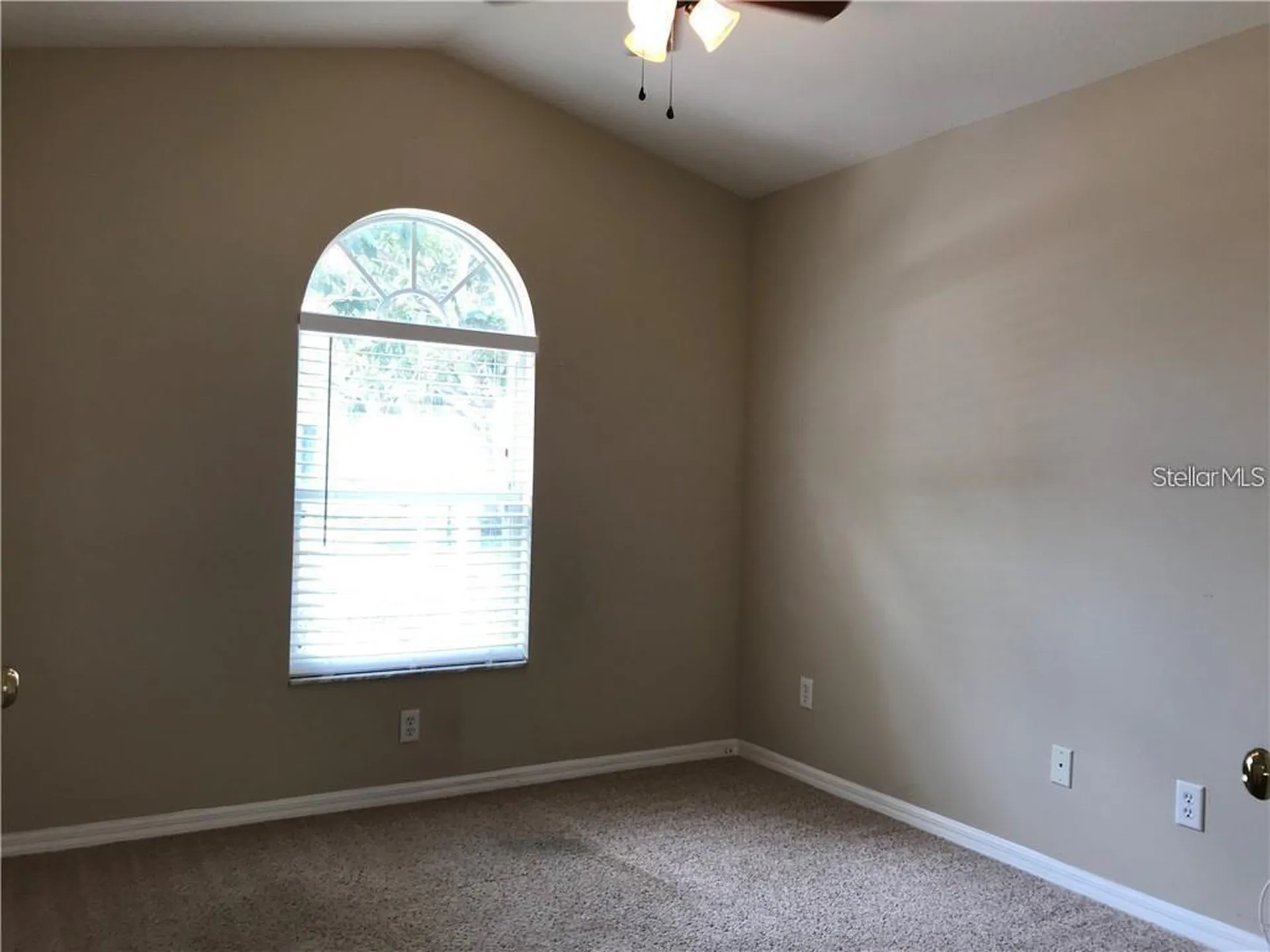 2622 Allwood Avenue Valrico FL 33596
