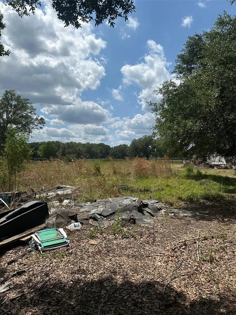 9068 SE 12th Drive Webster FL 33597