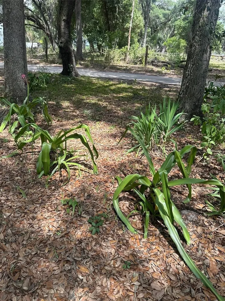 9068 SE 12th Drive Webster FL 33597