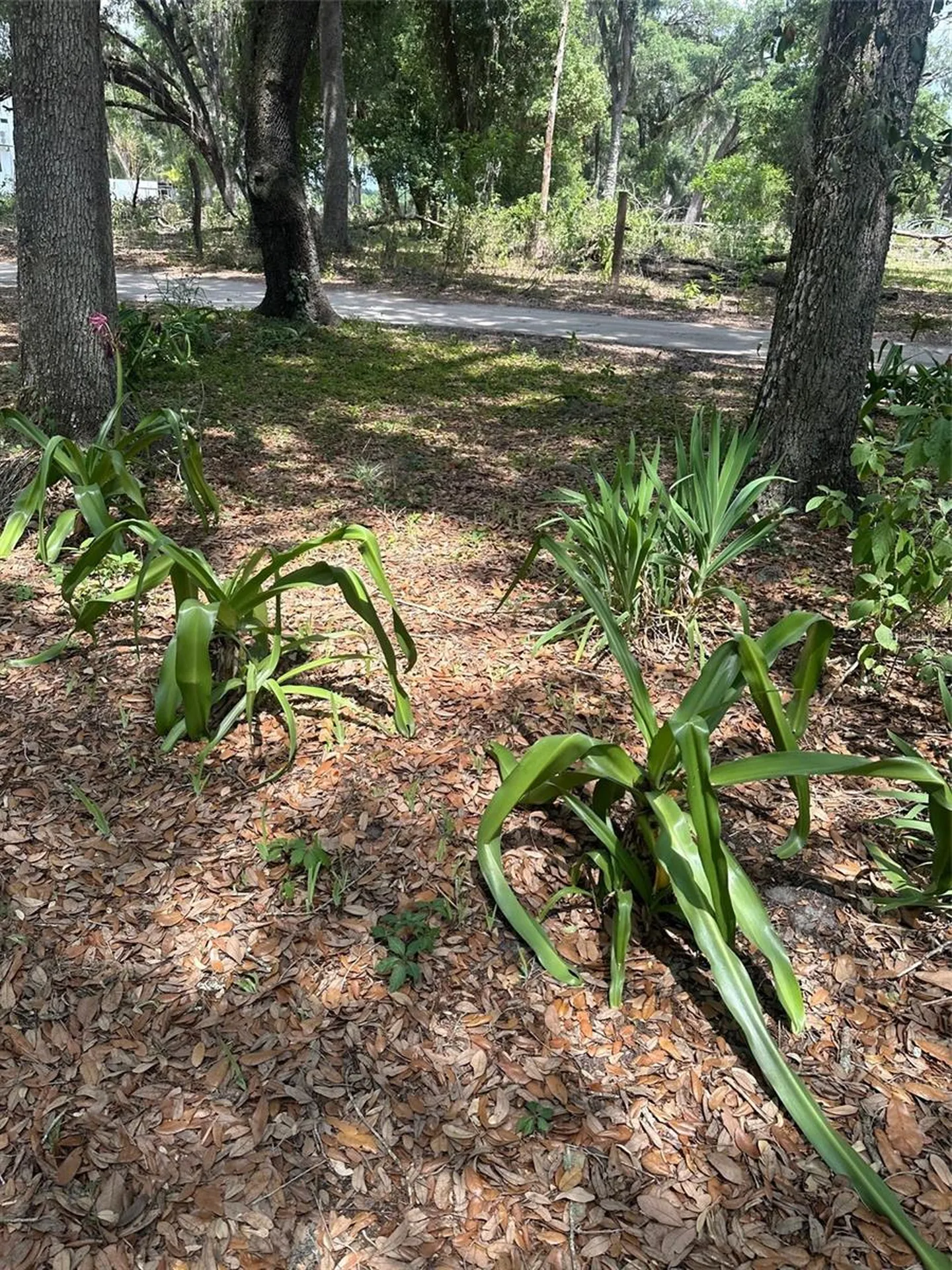 9068 SE 12th Drive Webster FL 33597