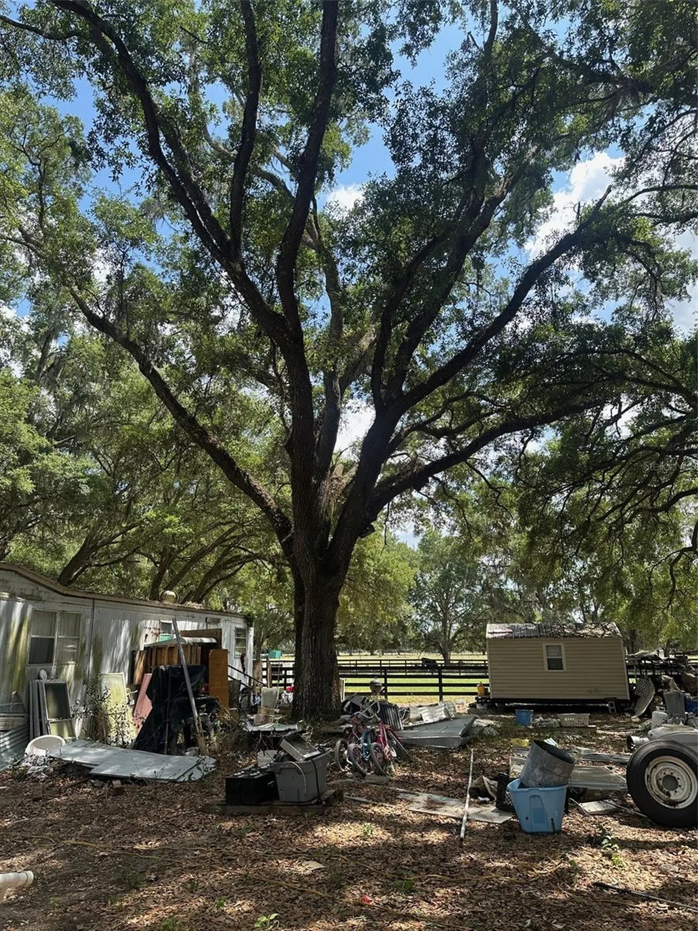 9068 SE 12th Drive Webster FL 33597
