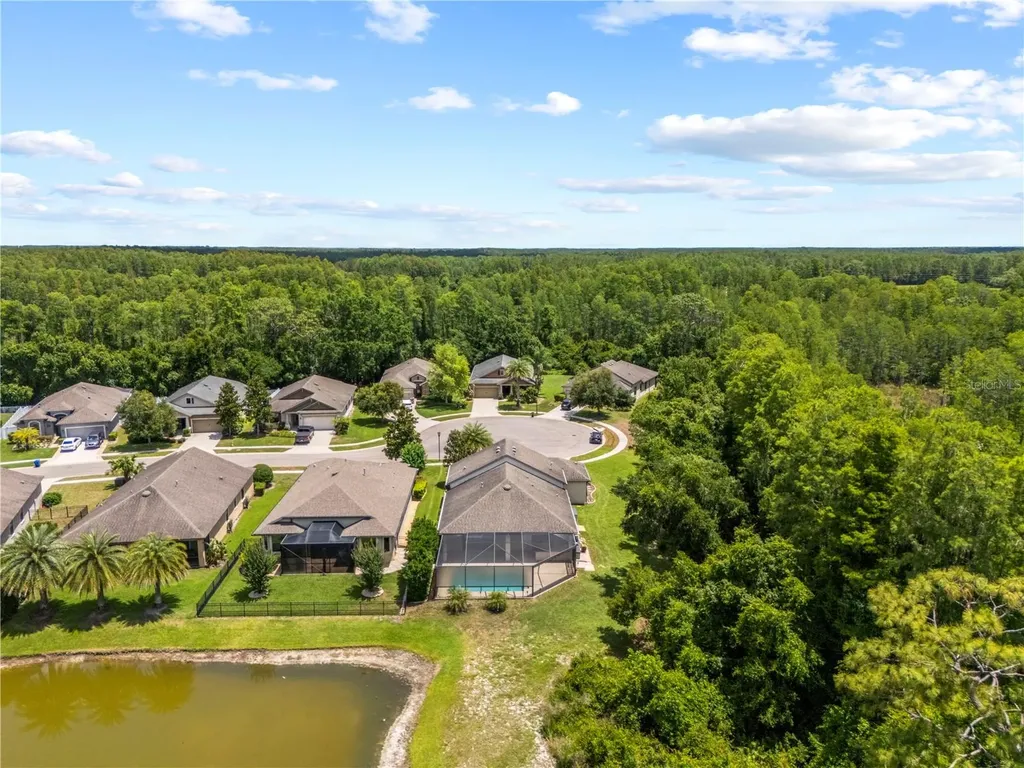 8538 May Port Court Land O Lakes FL 34638