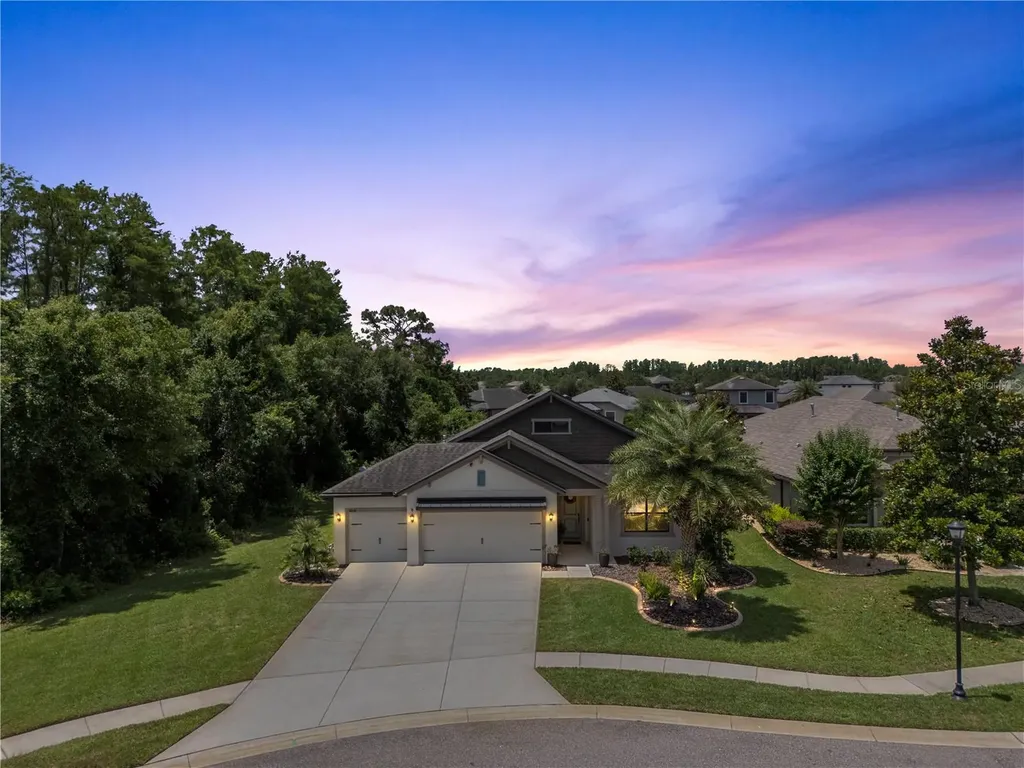 8538 May Port Court Land O Lakes FL 34638
