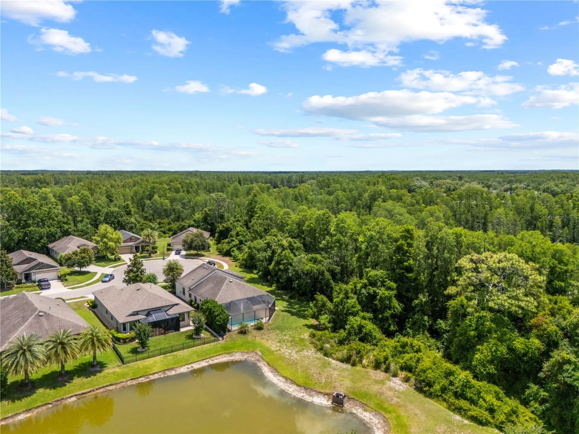 8538 May Port Court Land O Lakes FL 34638