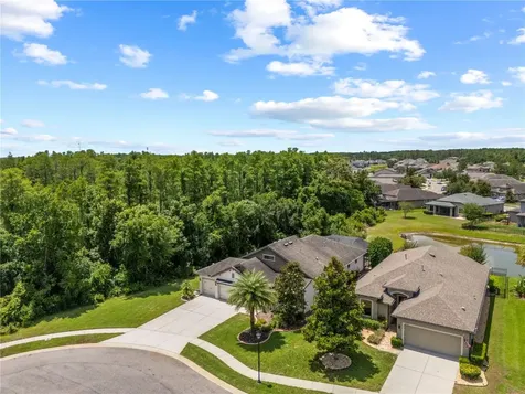 8538 May Port Court Land O Lakes FL 34638