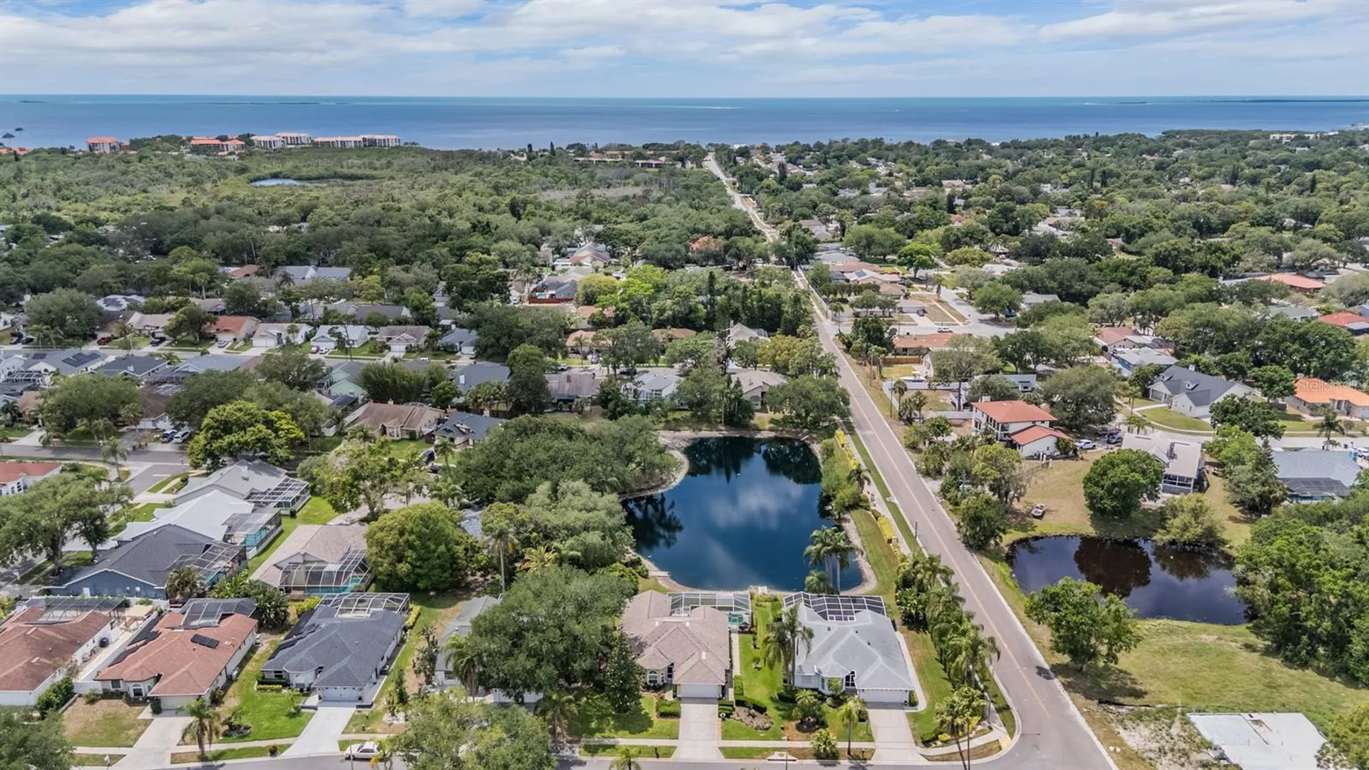 1620 Polo Club Drive Tarpon Springs FL 34689