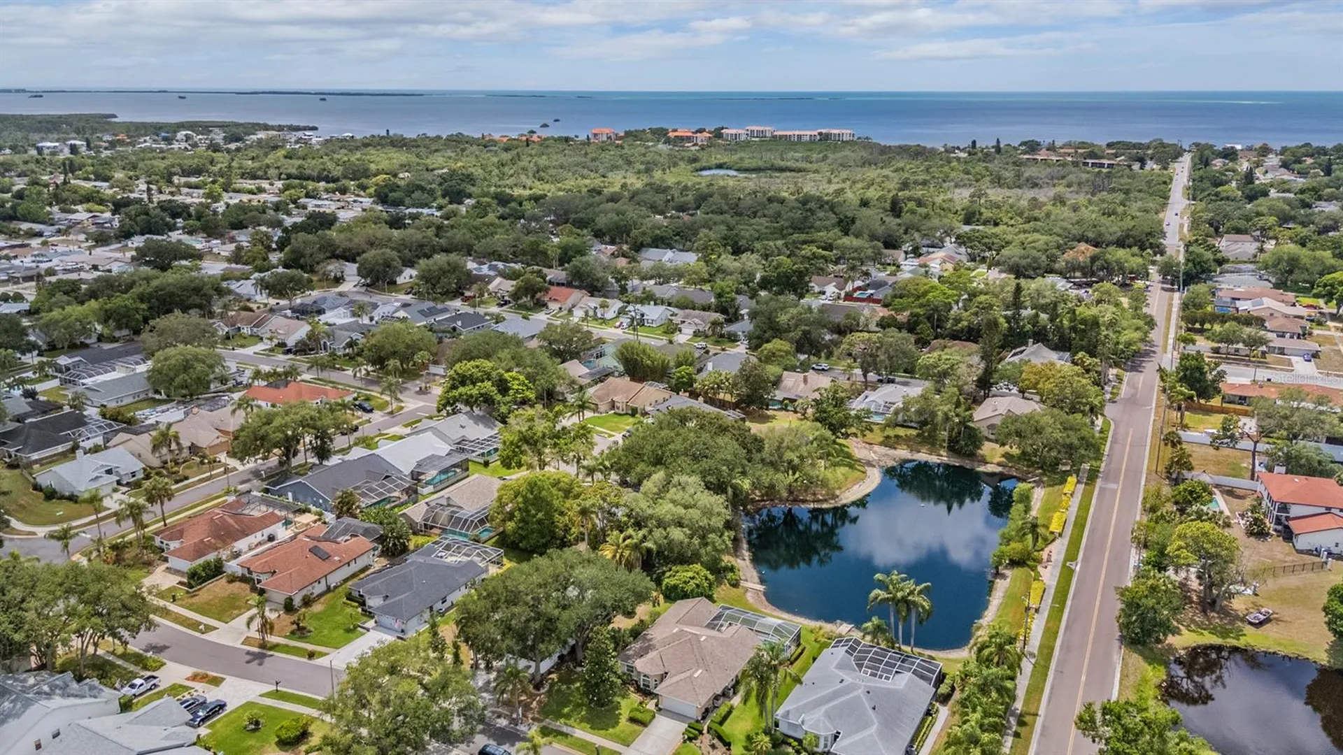 1620 Polo Club Drive Tarpon Springs FL 34689