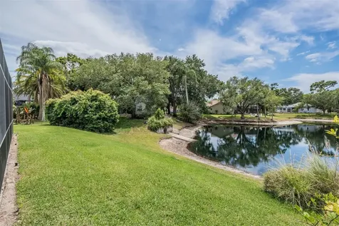 1620 Polo Club Drive Tarpon Springs FL 34689