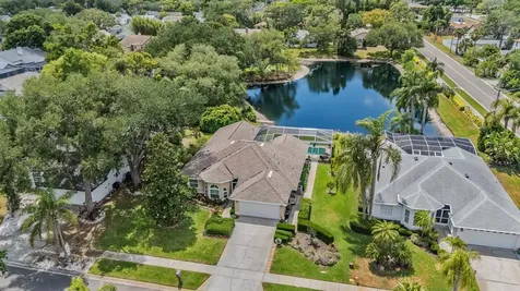 1620 Polo Club Drive Tarpon Springs FL 34689