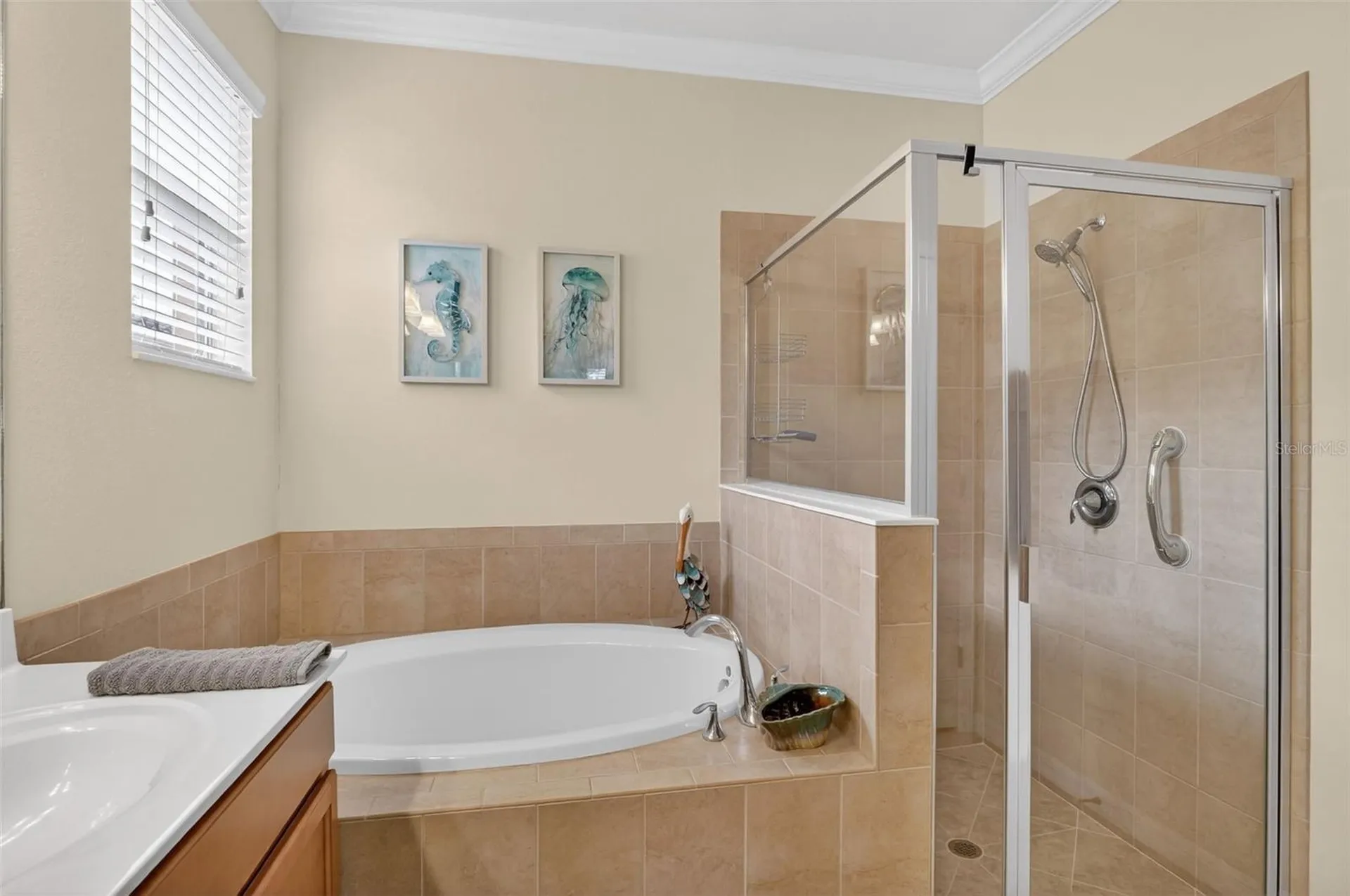 3535 Dandolo Circle Cape Coral FL 33909