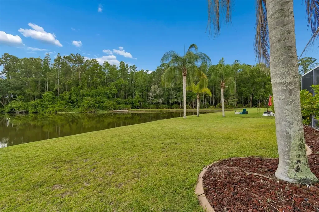 16026 Shinnecock Drive Odessa FL 33556