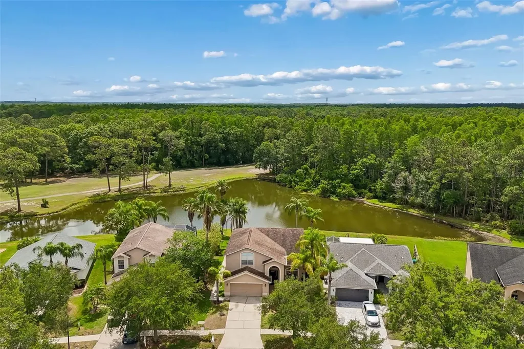 16026 Shinnecock Drive Odessa FL 33556