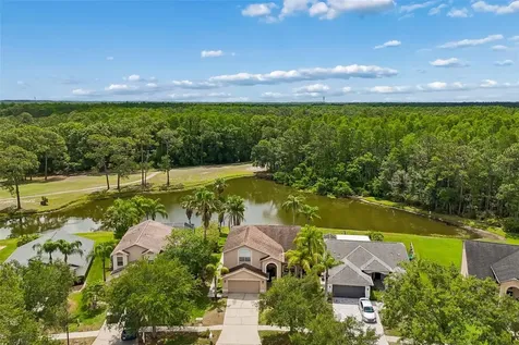 16026 Shinnecock Drive Odessa FL 33556