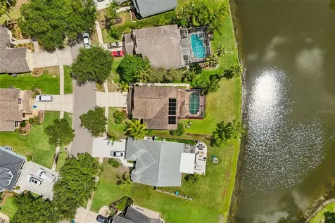 16026 Shinnecock Drive Odessa FL 33556