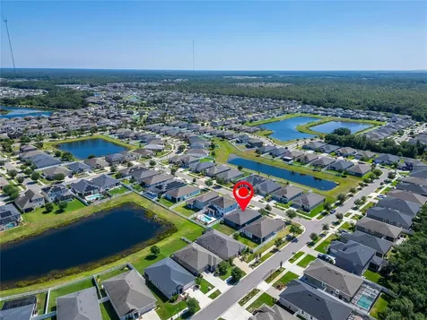 13517 Texas Sage Place Riverview FL 33579