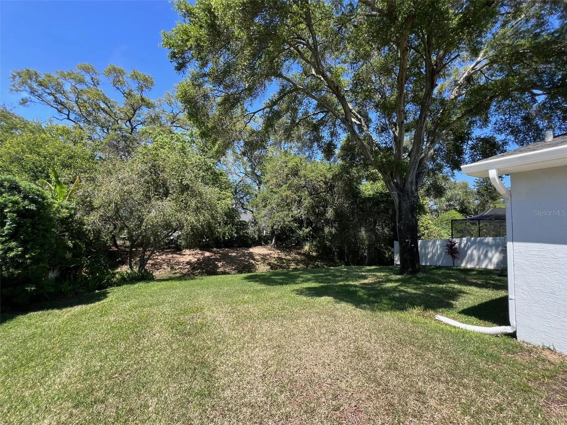 1520 Coastal Place Dunedin FL 34698