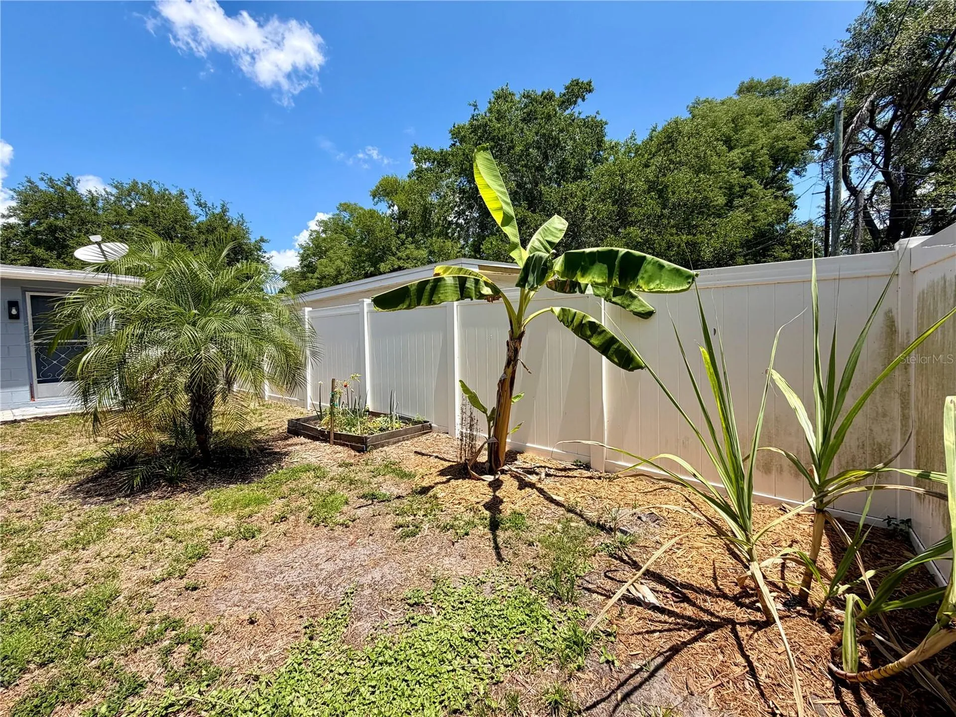 650 Newton Avenue S St Petersburg FL 33701