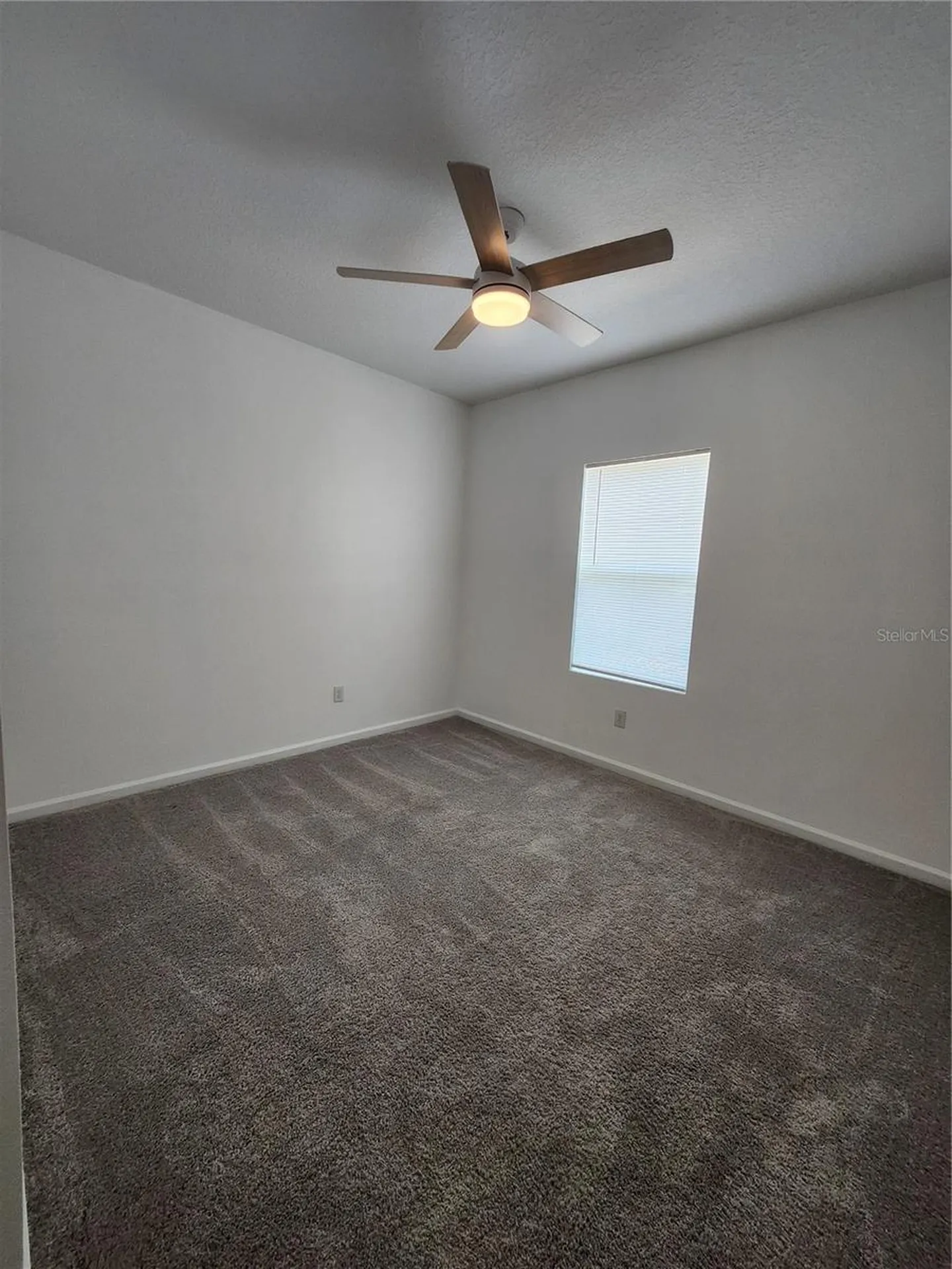 2340 Harris Hawk Avenue Ruskin FL 33570