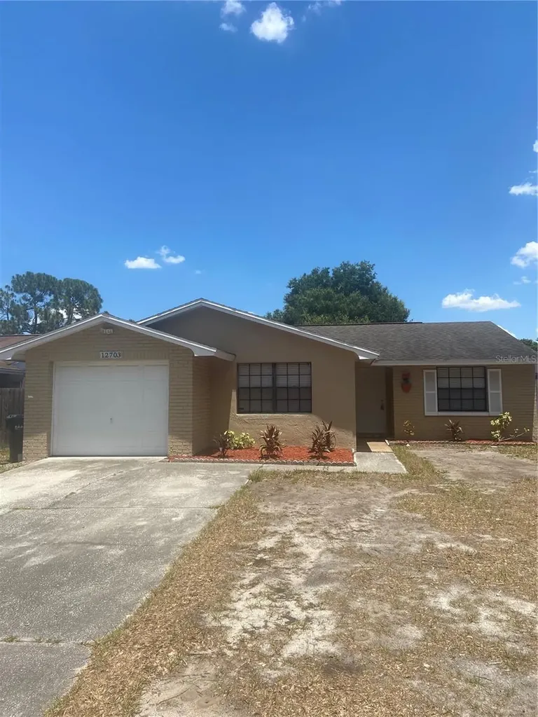 12703 Alida Place Tampa FL 33625