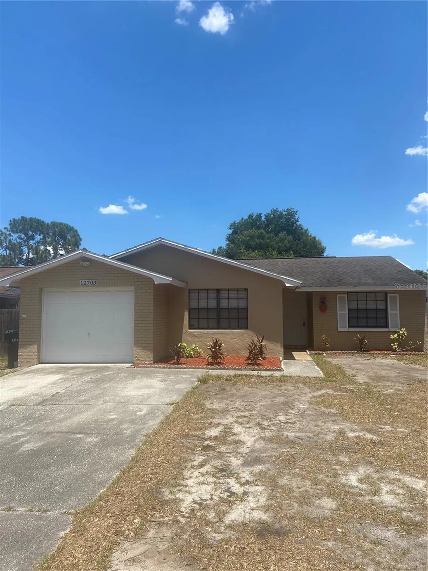 12703 Alida Place Tampa FL 33625