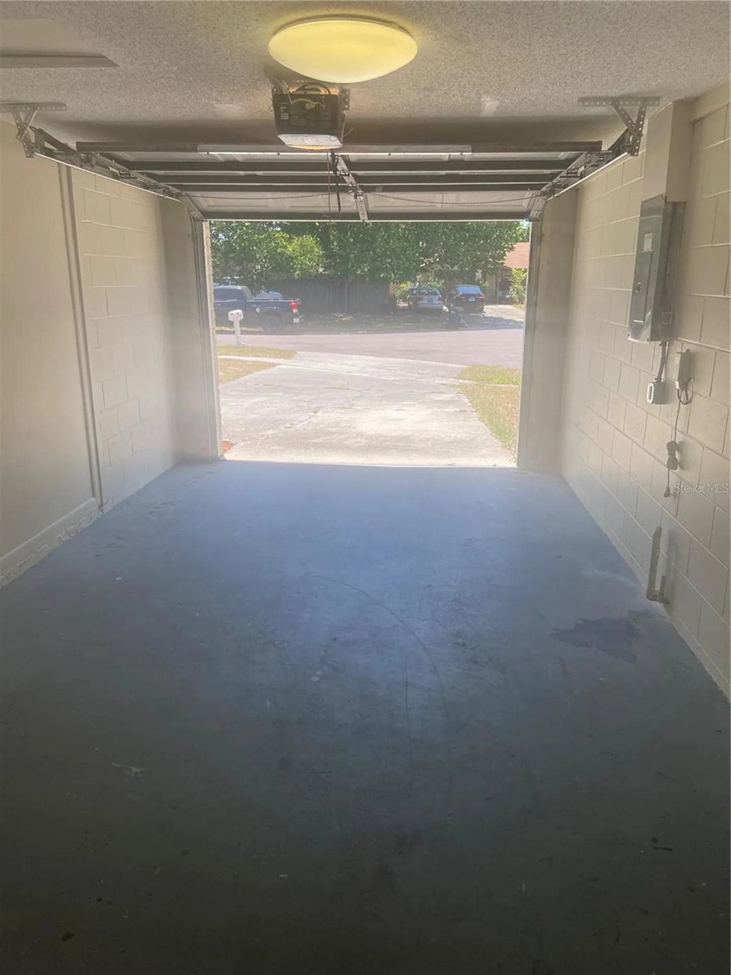 12703 Alida Place Tampa FL 33625