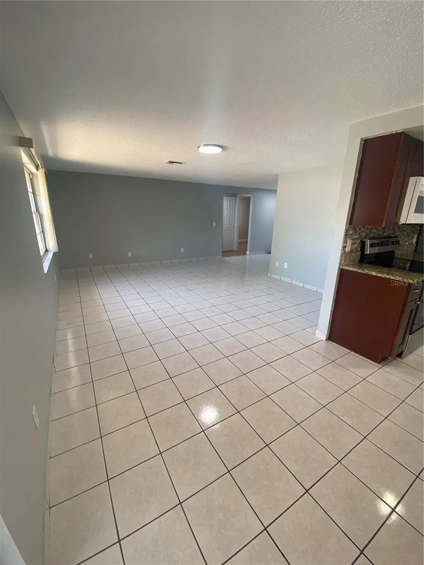 12703 Alida Place Tampa FL 33625