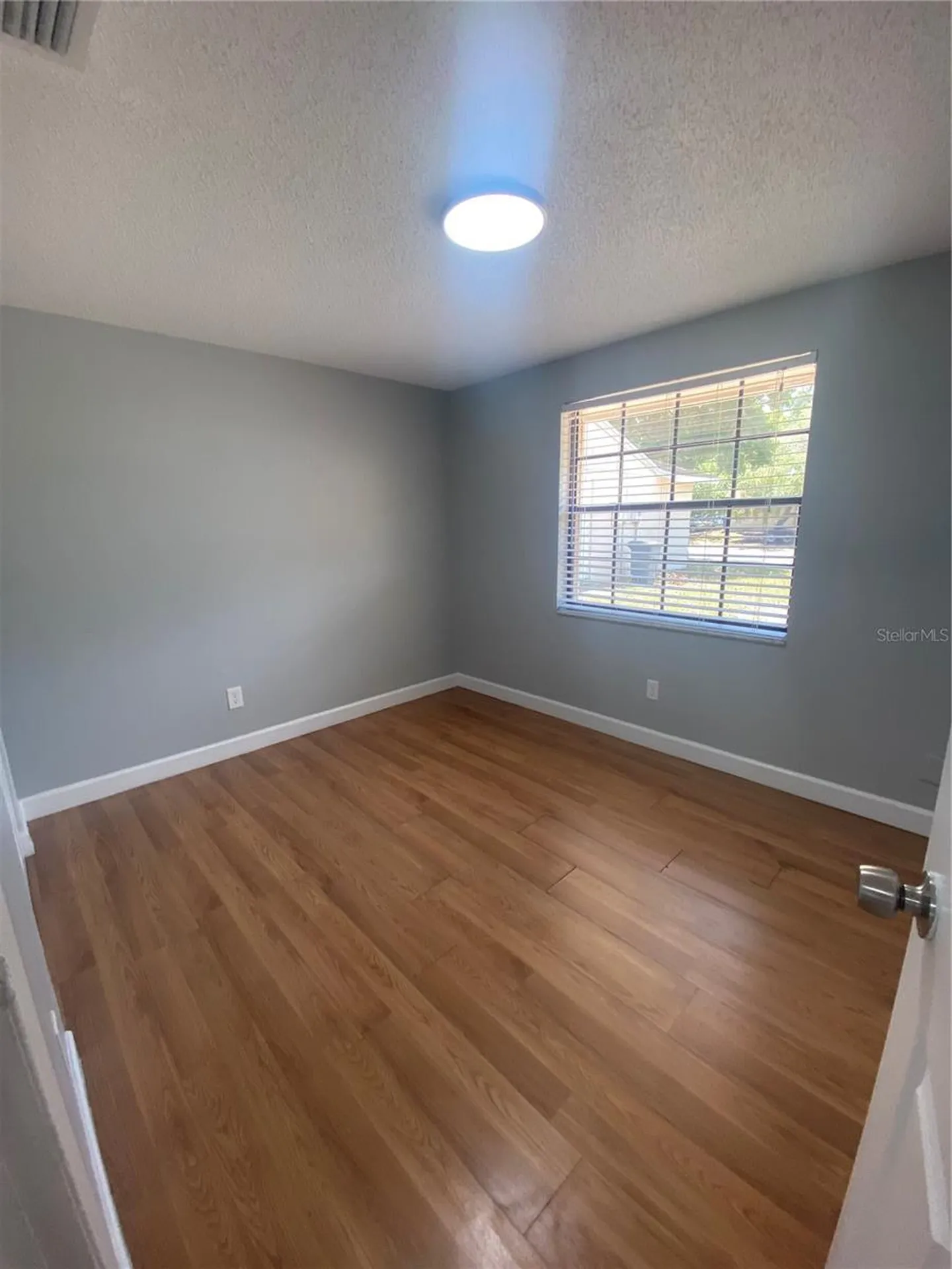 12703 Alida Place Tampa FL 33625