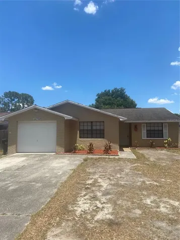 12703 Alida Place Tampa FL 33625