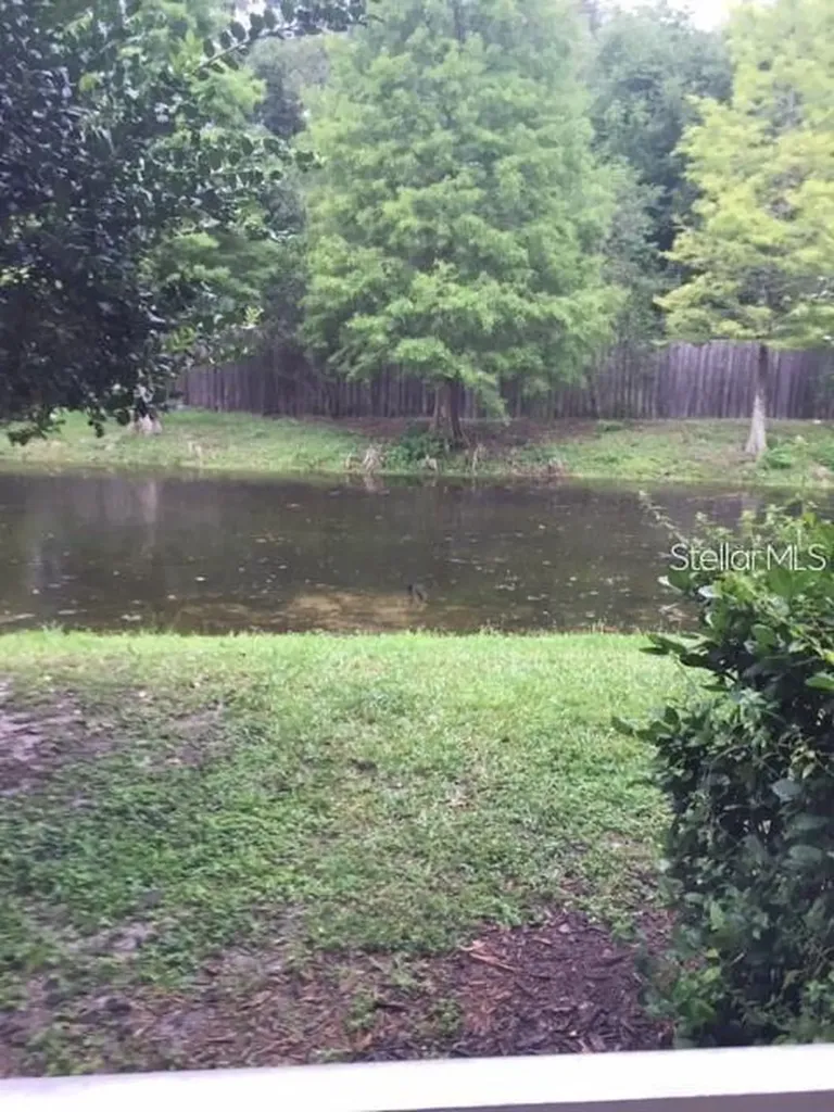 4134 Bismarck Palm Drive Tampa FL 33610