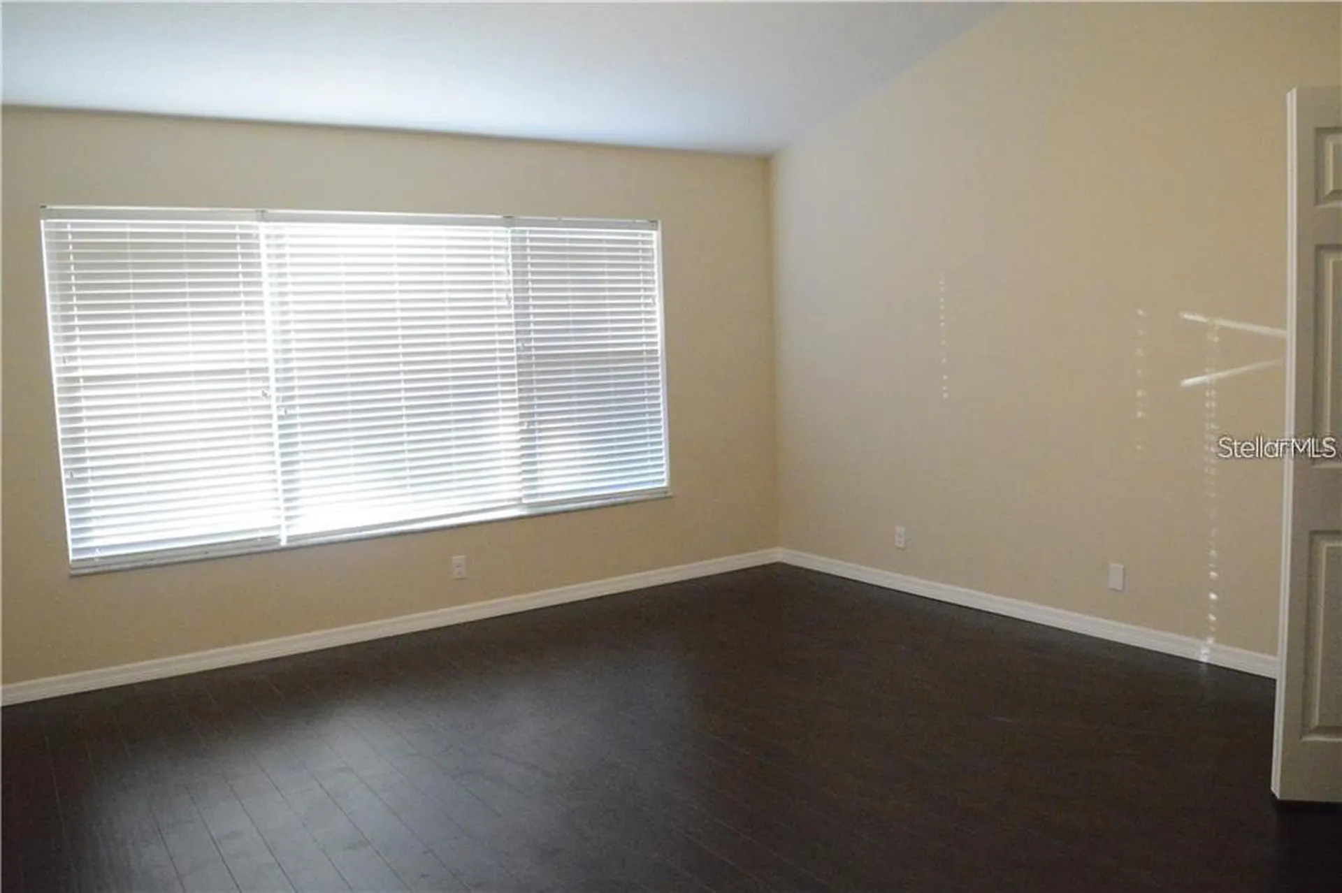 4134 Bismarck Palm Drive Tampa FL 33610