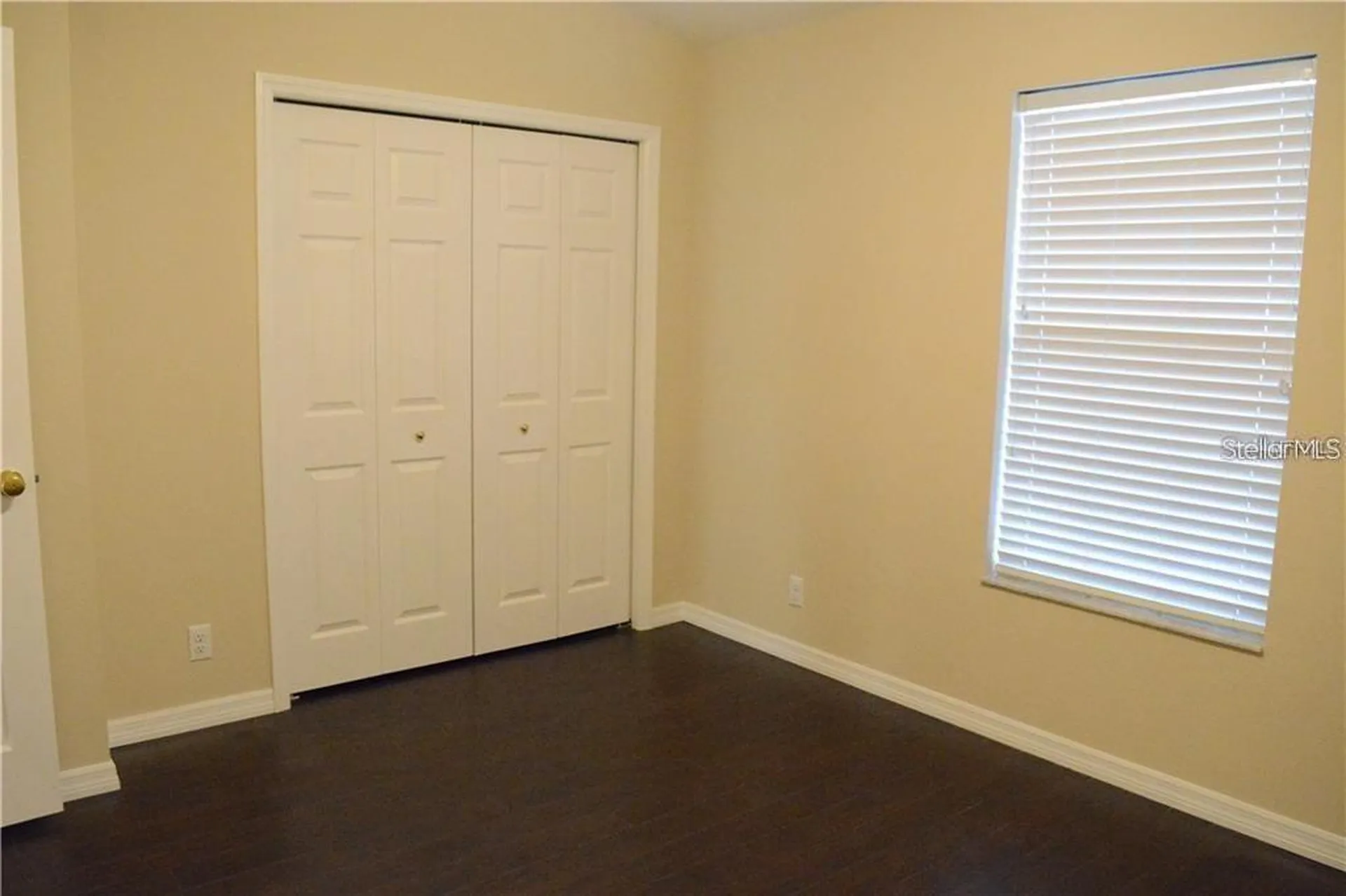 4134 Bismarck Palm Drive Tampa FL 33610