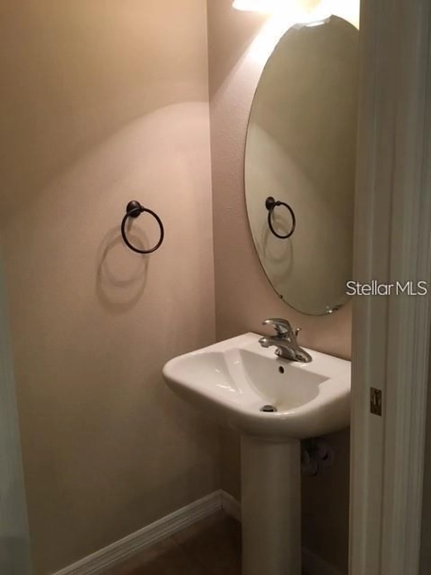 4134 Bismarck Palm Drive Tampa FL 33610