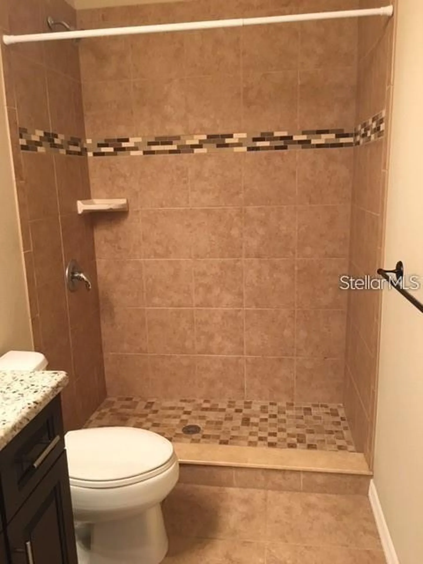 4134 Bismarck Palm Drive Tampa FL 33610