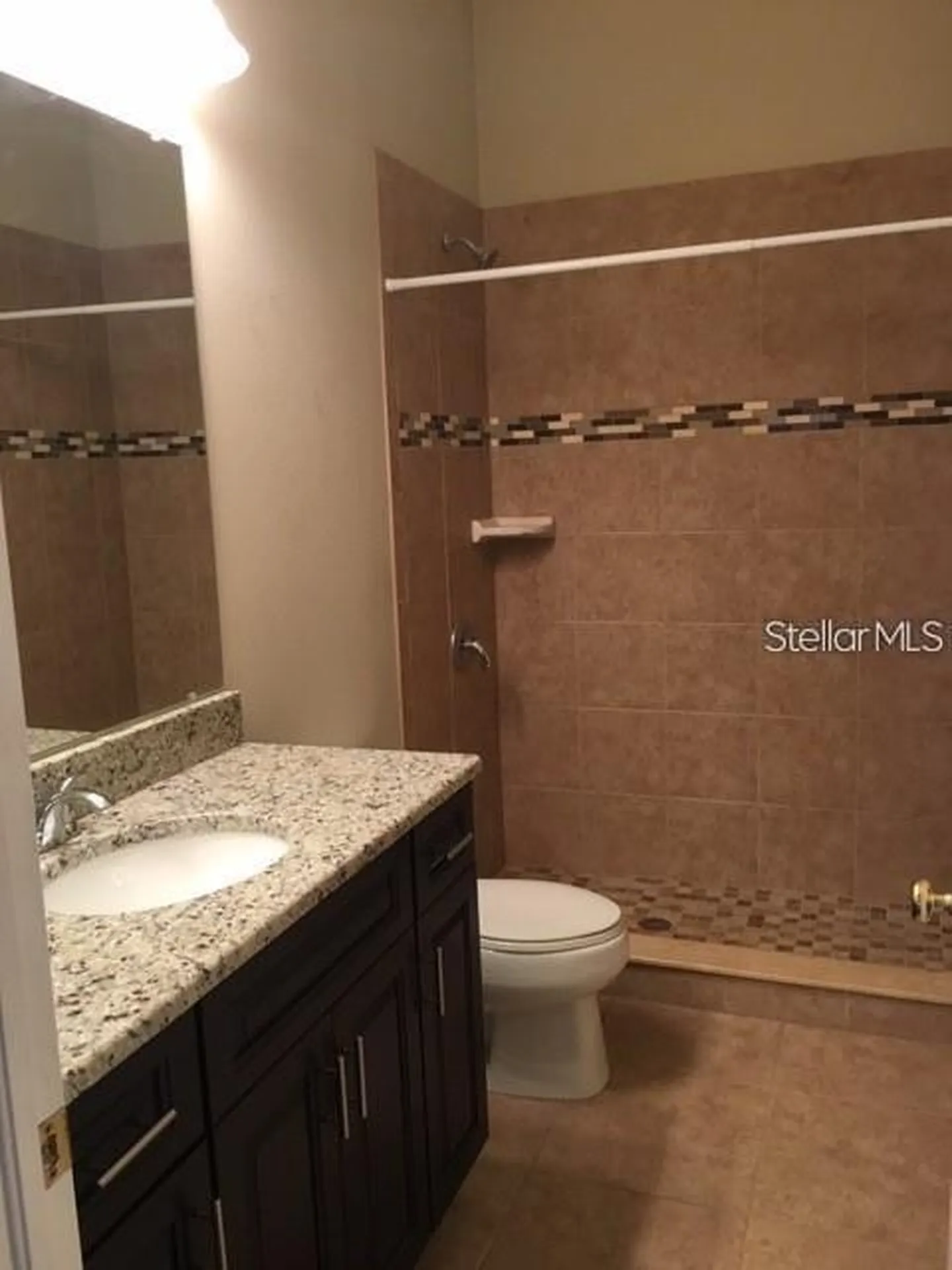 4134 Bismarck Palm Drive Tampa FL 33610