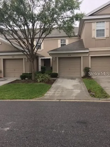 4134 Bismarck Palm Drive Tampa FL 33610