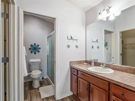 3742 Viscaya Court The Villages FL 32163