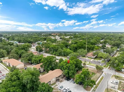 14009 N 20th Street Tampa FL 33613