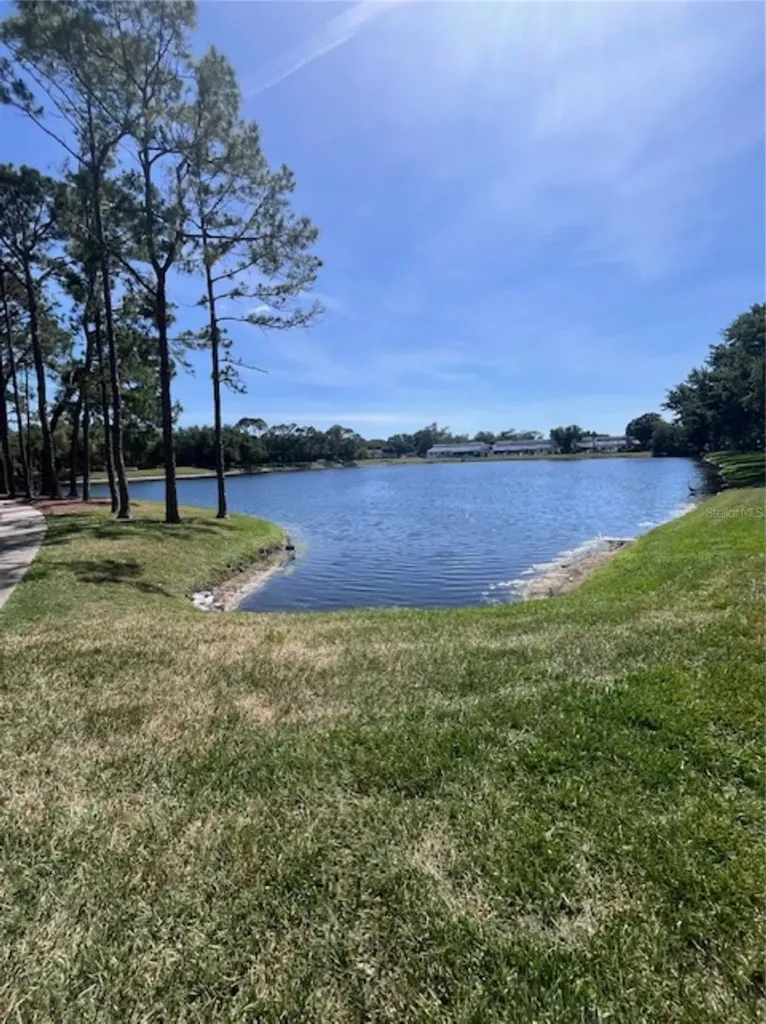 3047 Overlook Place Clearwater FL 33760