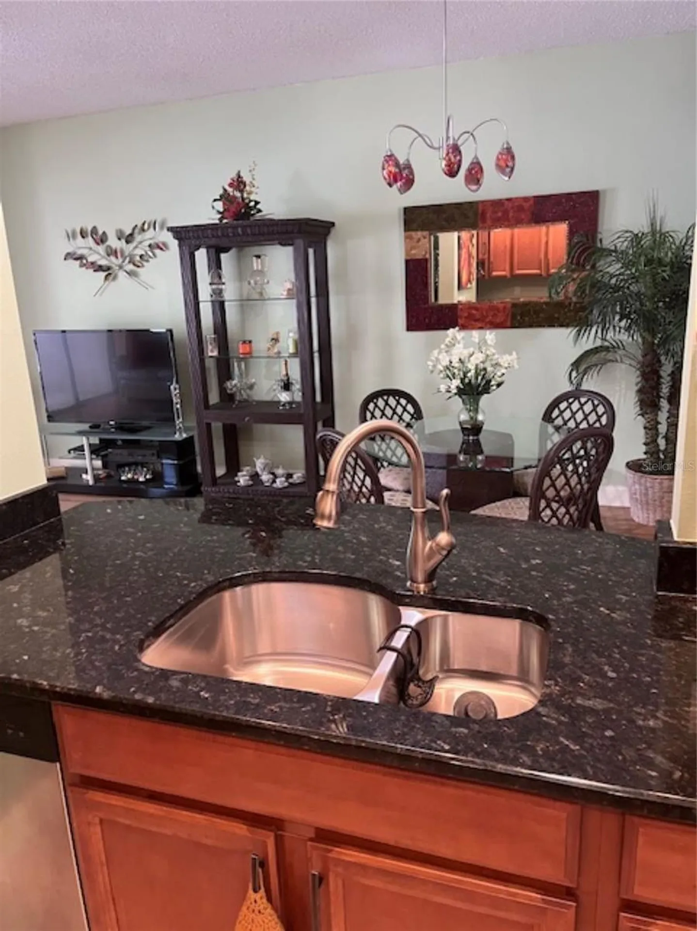 3047 Overlook Place Clearwater FL 33760