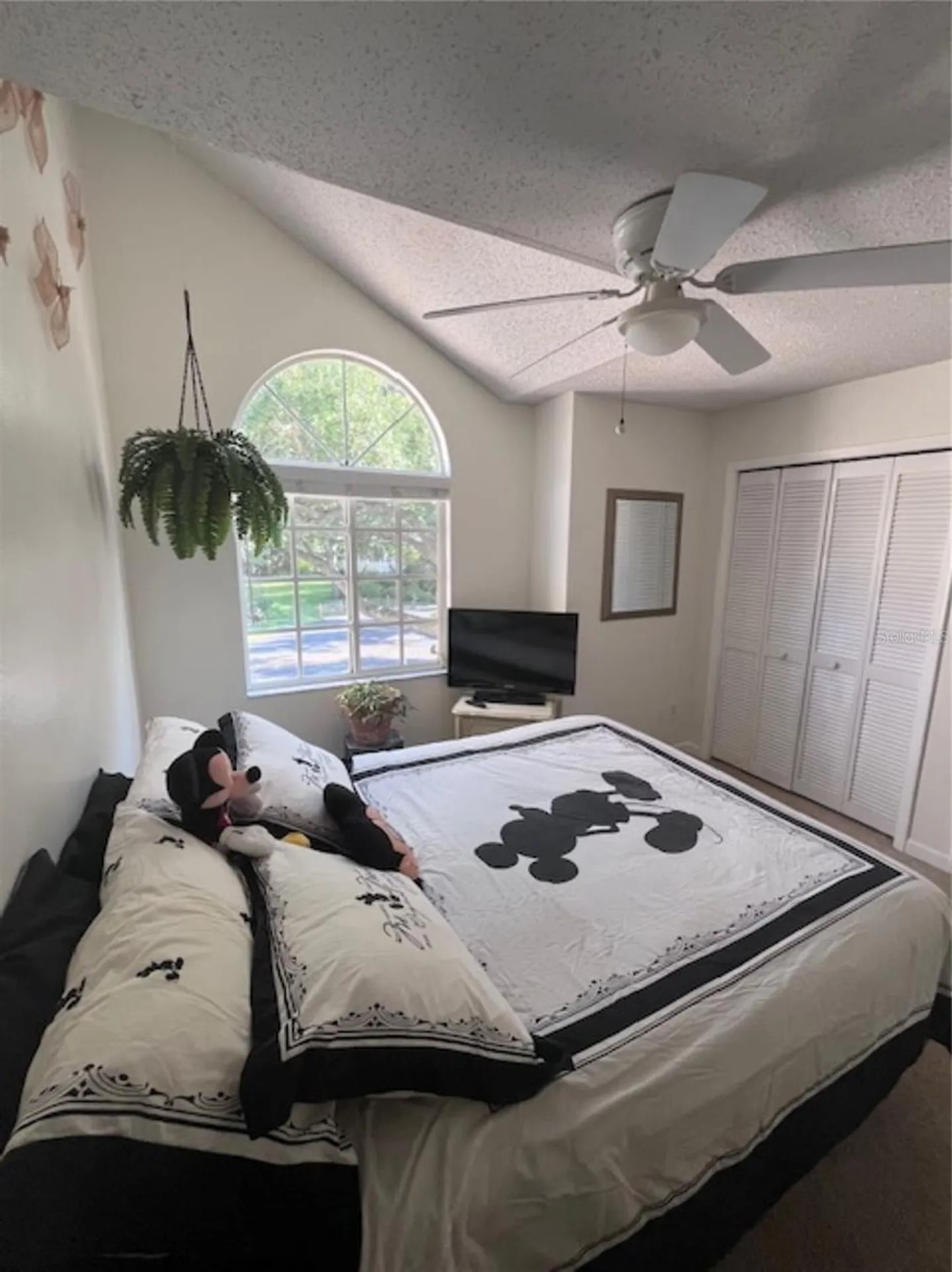 3047 Overlook Place Clearwater FL 33760