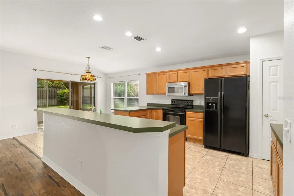 13358 SE 86th Circle Summerfield FL 34491
